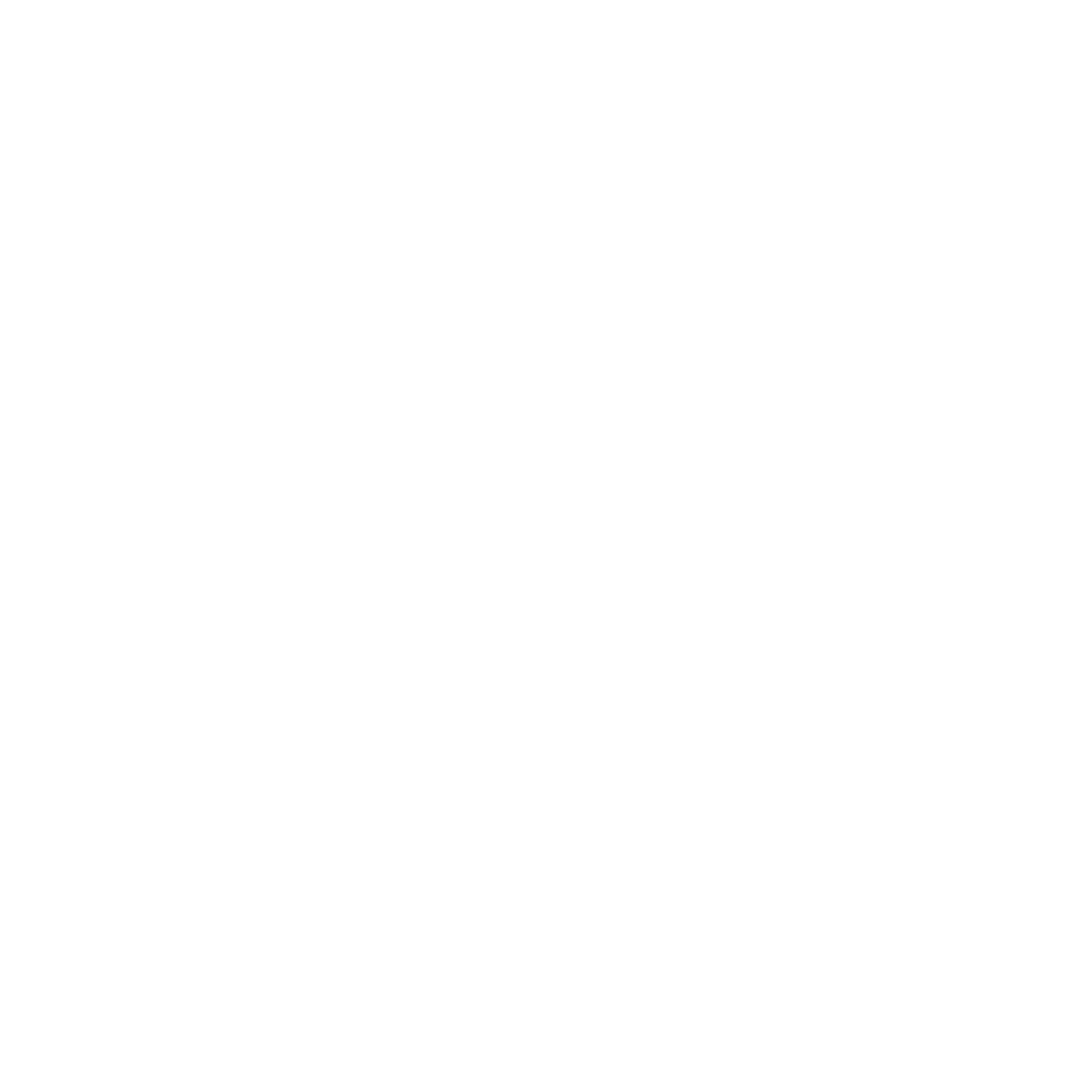 mychakraactivationsystem.com